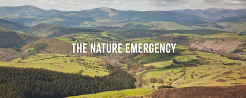 An upland landscape, with rolling hills and distant mountains. Most of hte land is bare, with a few coniferous forests. The words 'The nature emergency' are set over the text