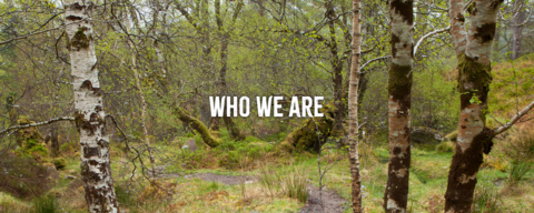A birch woodland, with the words "who we are" imposed over the photo