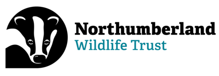 The logo of Northumberland Wildlife Trust, with a badger's face