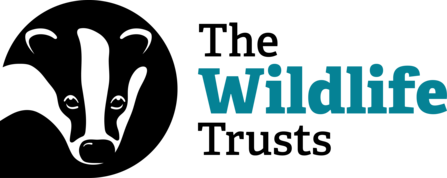 The logo of The Wildlife Trusts, with a badger's face
