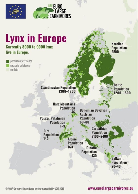 map of lynx European population