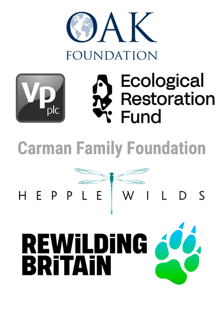 The logos of the oak foundation, vp plc, ecological restoration fund, carman family foundation, hepple wilds and rewilding britain