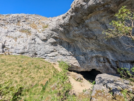 A cave at the base of a rocky outcrop, with grass sloping up to the entrance and a few small trees scattered around it