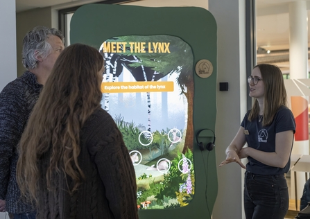 Two visitors talk to a member of staff at the Missing Lynx exhibition, in front of a display with an illustrated woodland that reads meet the lynx