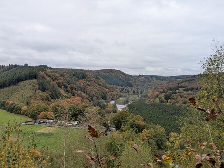 Looking down into a river valley, with trees covering the slopes